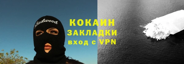 ГАЛЛЮЦИНОГЕННЫЕ ГРИБЫ Арсеньев