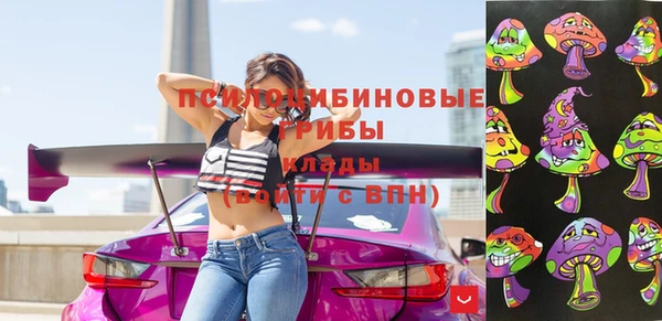 ГАЛЛЮЦИНОГЕННЫЕ ГРИБЫ Арсеньев
