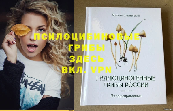 mix Армянск