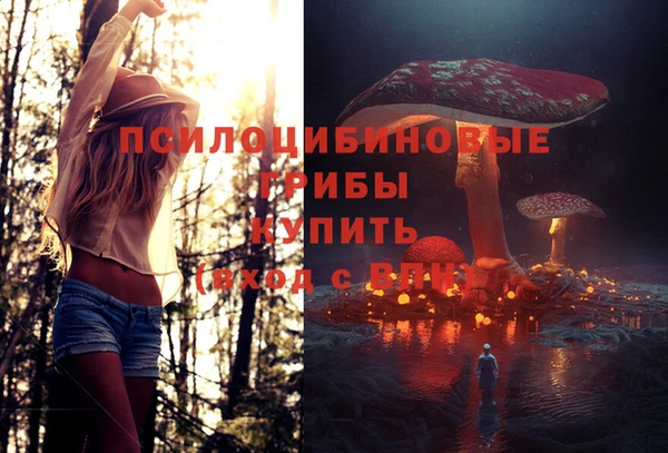 ГАЛЛЮЦИНОГЕННЫЕ ГРИБЫ Арсеньев