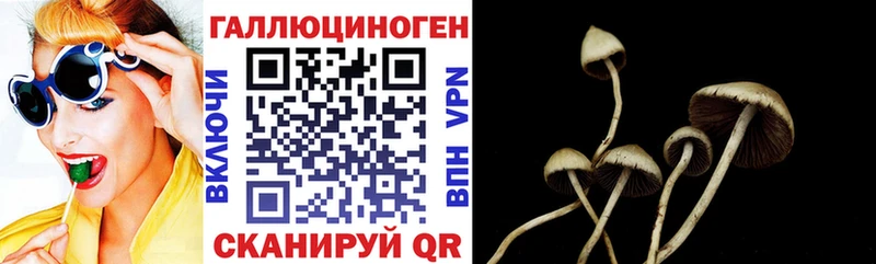 Галлюциногенные грибы Cubensis купить наркоту Усолье-Сибирское